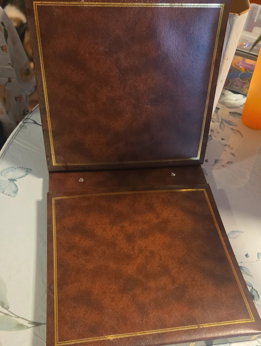 Vintage Photo Album